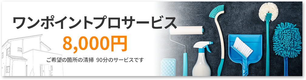 ワンポイントプロサービス8,000円。ご希望の箇所の清掃 90分のサービスです。