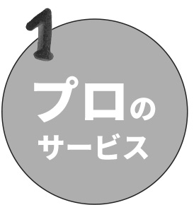 プロのサービス